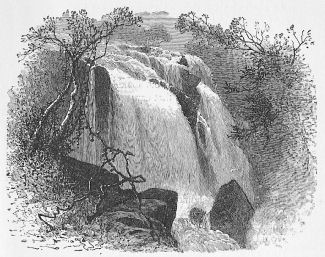 Click Illustration to Enlarge